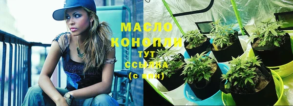 шишки Краснотурьинск