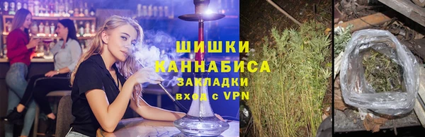 шишки Краснотурьинск